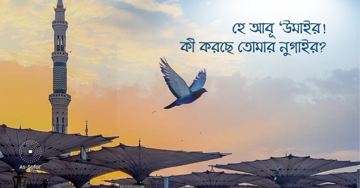 যেমন হওয়া উচিৎ শিশুদের সাথে বড়দের আচরণ